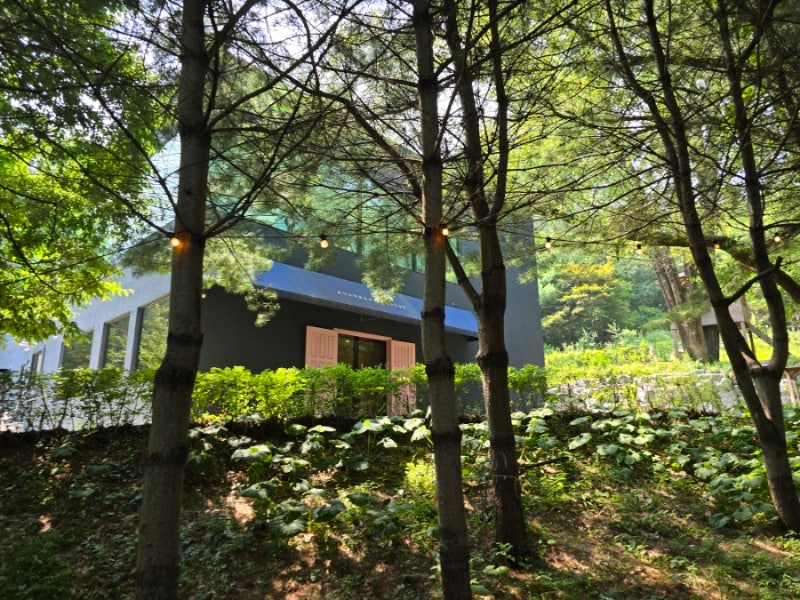 달달숲