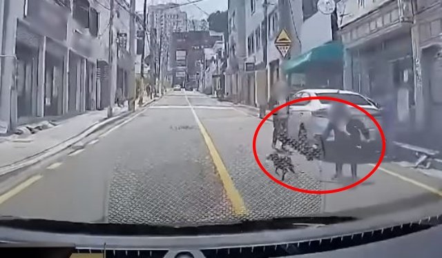갑자기 달려든 반려견에 ‘쿵’…“견주가 치료비 700만원 달란다” 갑자기 달려든 반려견에 ‘쿵’…“견주가 치료비 700만원 달란다”