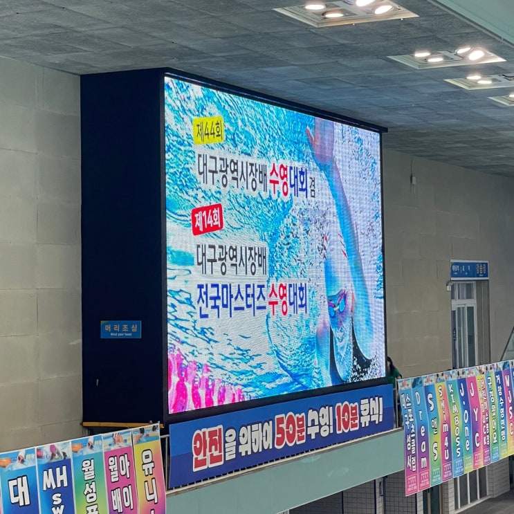  [수영 대회] 6. 대구시장배 | 두류수영장 | 평영 100 | 자유형 50 | 또 경품 (240622~23 일)