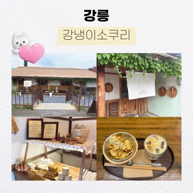  강릉 주문진 필수 코스 카페 내 돈 내산 후기, 강냉이소쿠리