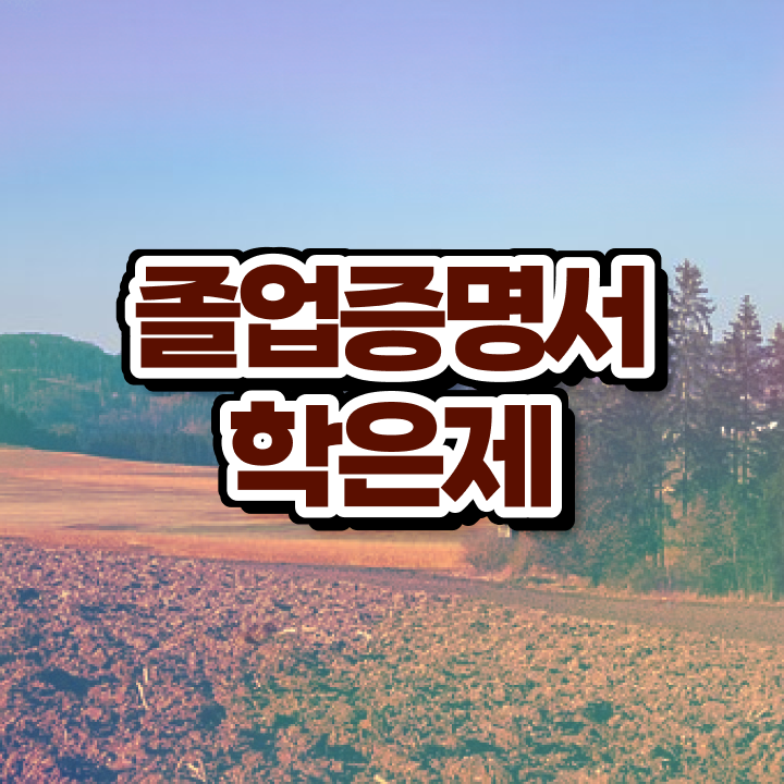  학점은행제 경영학 , 학점은행제 학습플래너 이 부분은 확실하게 검토해 보세요