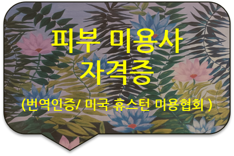 미국 텍사스주 휴스턴 "피부/네일/메이크업(Makeup) 미용사 자격증" 취득을 위한, '국가 기술자격증' 번역공증 미국 텍사스주 휴스턴 "피부/네일/메이크업(Makeup) 미용사 자격증" 취득을 위한, '국가 기술자격증' 번역공증