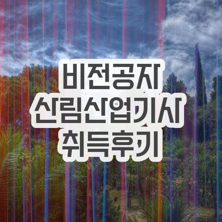  산림산업기사 작업형 산림산업기사 응시자격 독학으로 15주만에 끝낸 과정