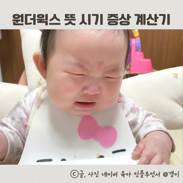  원더윅스 뜻 시기 증상 계산기