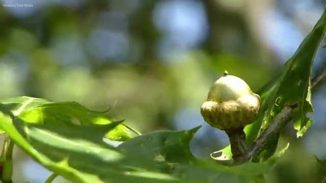  가족해외여행추천 , 현지 전문가 가 직접 정리해드릴깨요 (무료 서비스)
