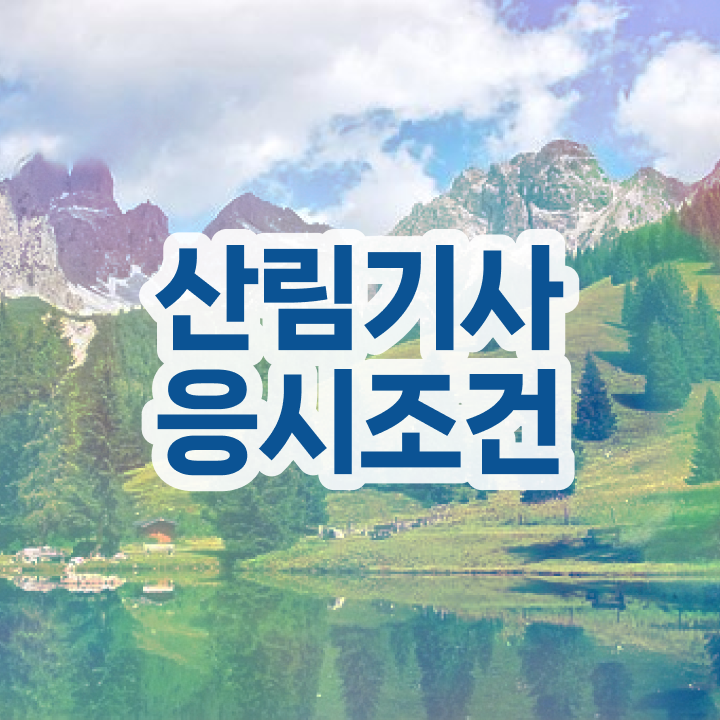  산림기사 자격증 산림기사 시험응시조건 온라인 과정으로 쉽고 빠르게 성공한 과정