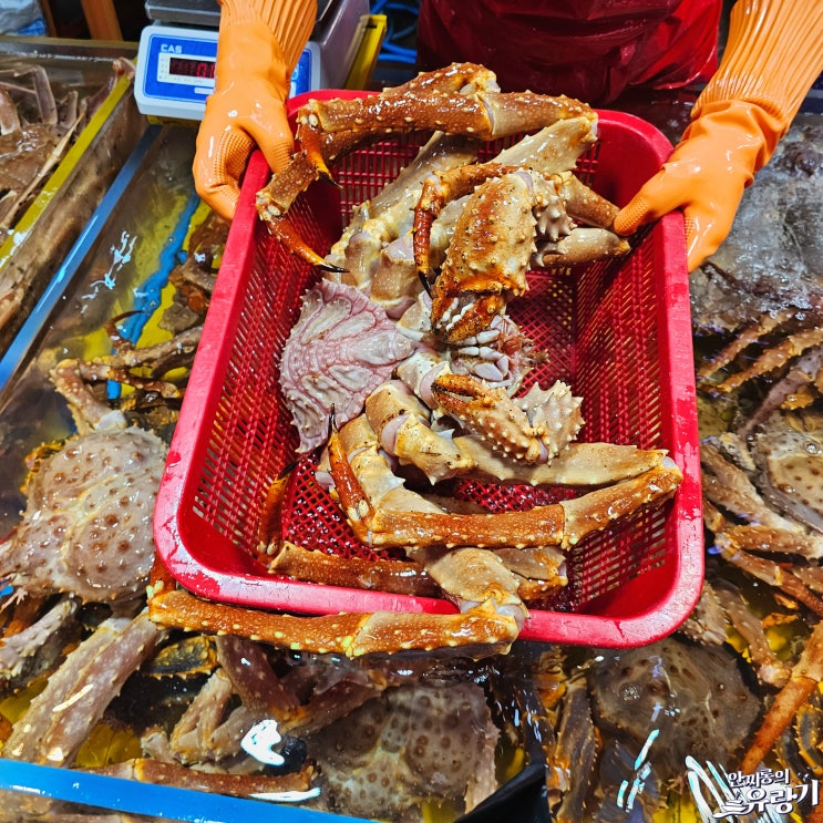  인천 연안부두 어시장 킹크랩시세 러시아 대게시세 싯가 주차장은 공사 중
