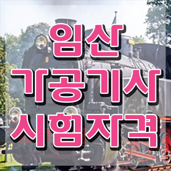  임산가공기사 자격요건 인강만 듣고 4달 안에 성공한 전략