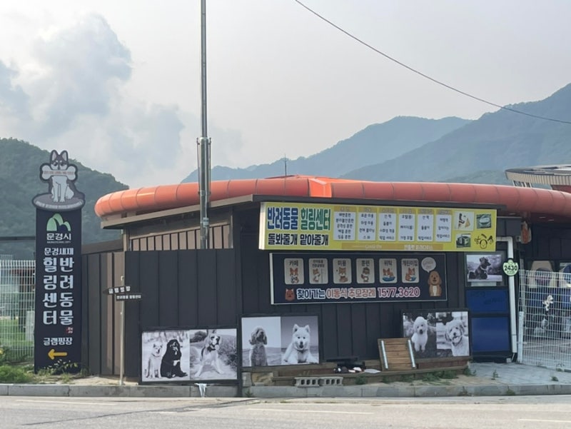 사진 3
