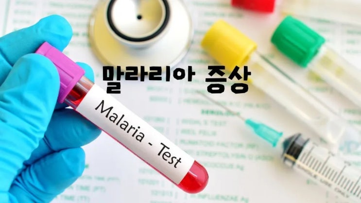  말라리아 증상 말라리아 5가지 종류 감염경로 예방법 치료