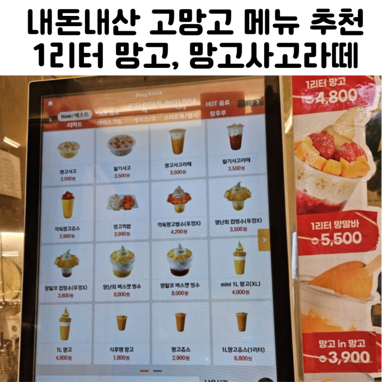  고망고 메뉴 망고사고 라떼 1리터 내돈내산