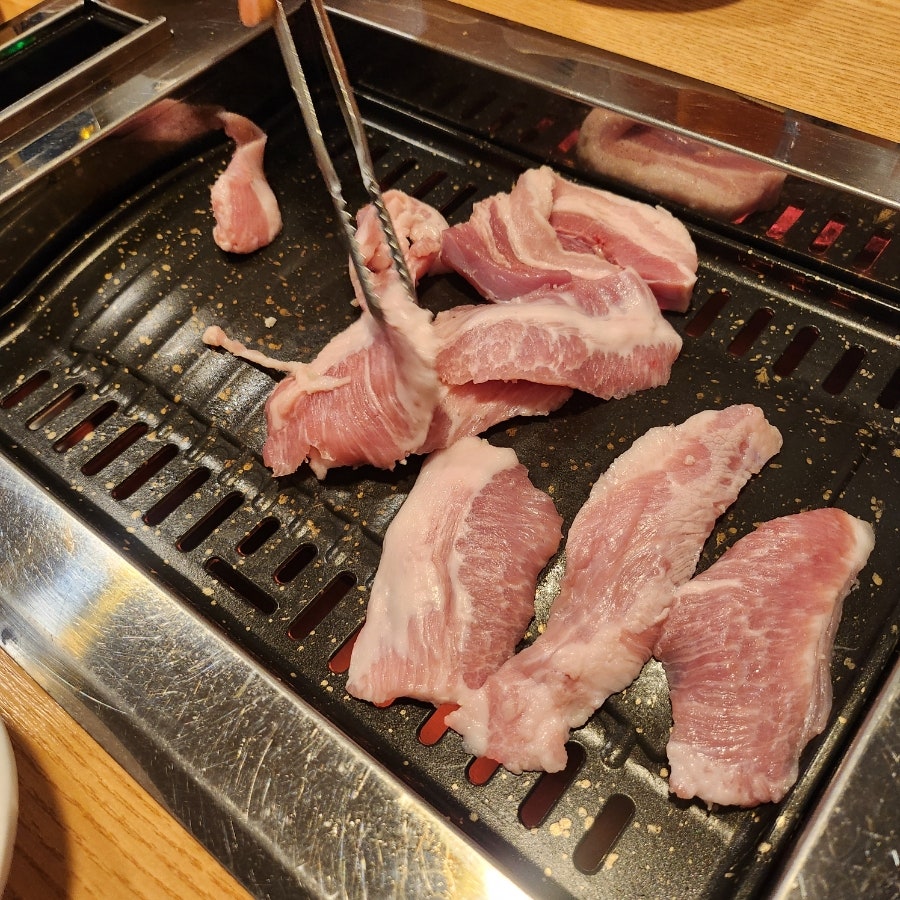 암소한마리 사진 3