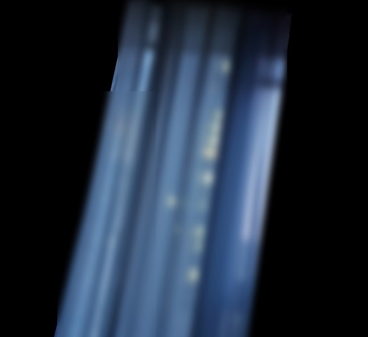  포.덤