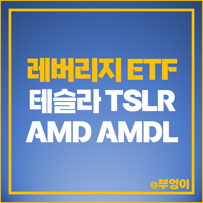 AMD 주식 테슬라 관련주 레버리지 미국 ETF 투자 방법 AMDL TSLR 주가 AMD 주식 테슬라 관련주 레버리지 미국 ETF 투자 방법 AMDL TSLR 주가