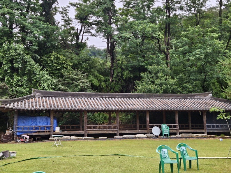 하늘천따지 사진 6