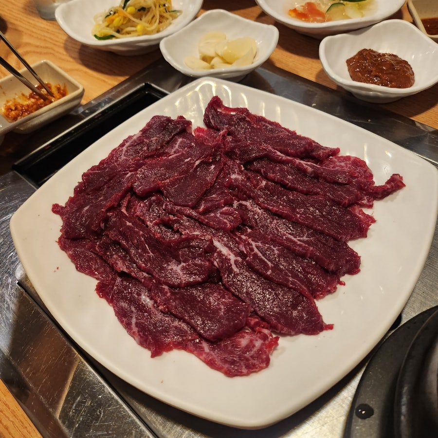 암소한마리 사진 1