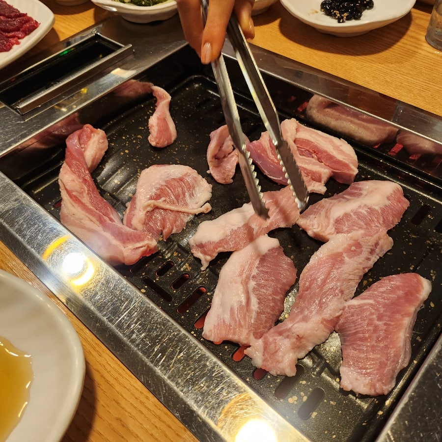암소한마리 사진 4