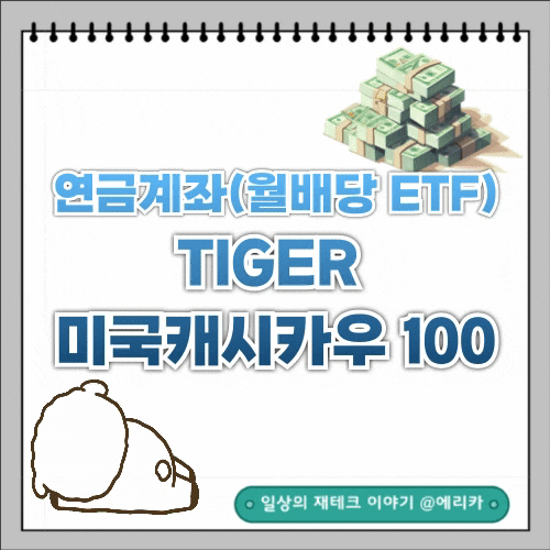  연금계좌에서 매수할만한 월배당 ETF (TIGER 미국캐시카우 100)