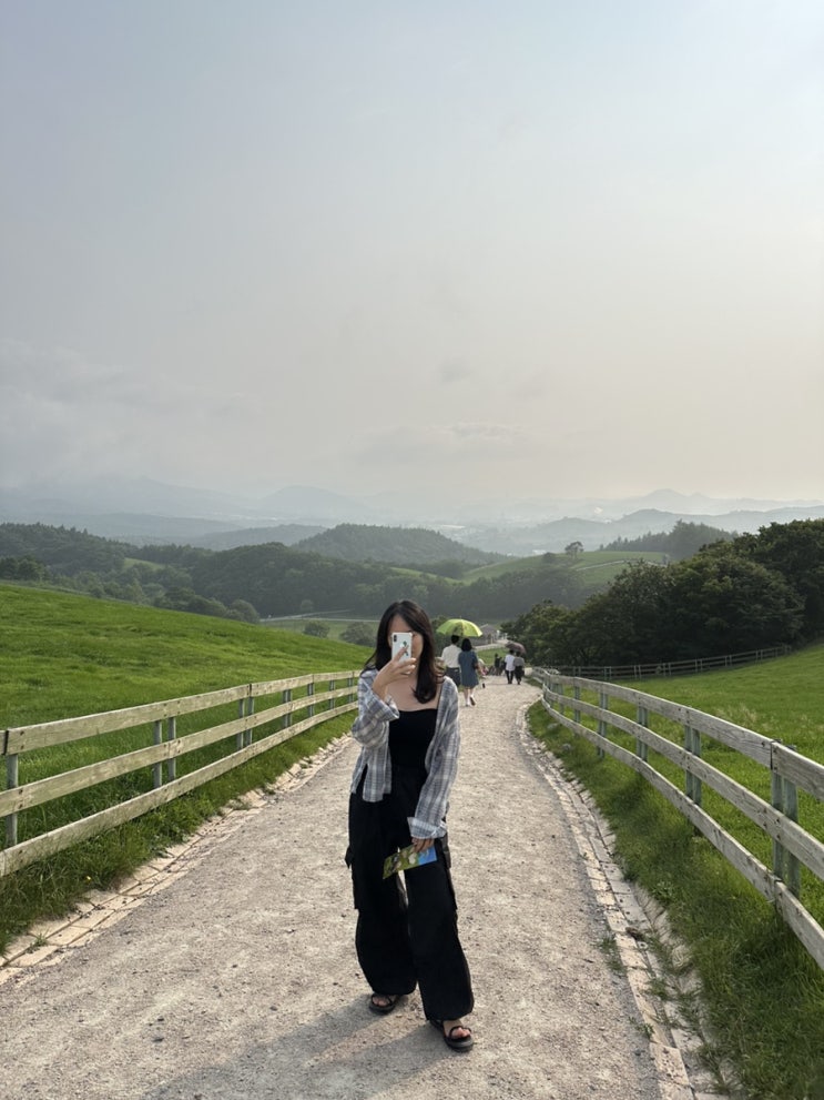  [여행] 강릉 당일치기 여행코스 가볼만한곳