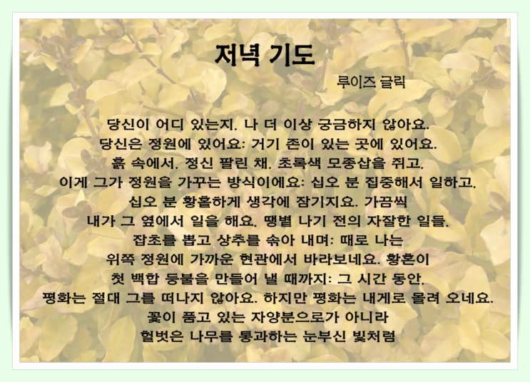  황혼이 만들어 내는 첫 백합 등불 루이즈 글릭의 저녁기도