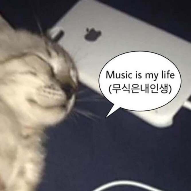 레드벨벳의 달달한 사랑 노래 리스트