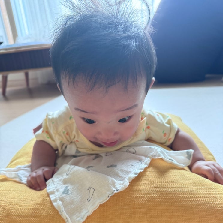 도담이는 오늘 기분이 안좋다 D+258 도담이는 오늘 기분이 안좋다 D+258