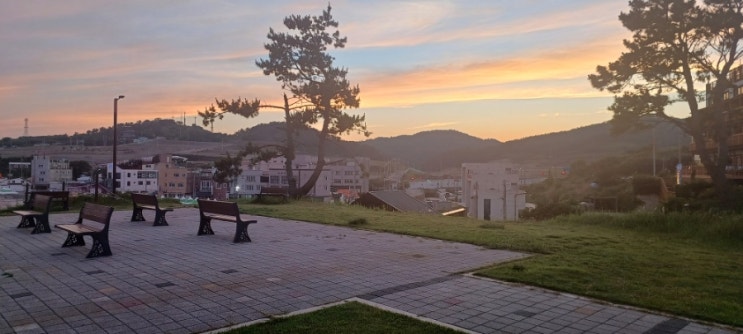  삼정해수욕장/구룡포주상절리