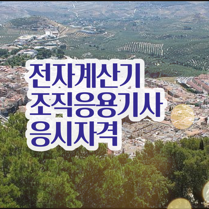  전자계산기조직응용기사 자격요건 학점은행제로 4달 안에 끝낸 과정