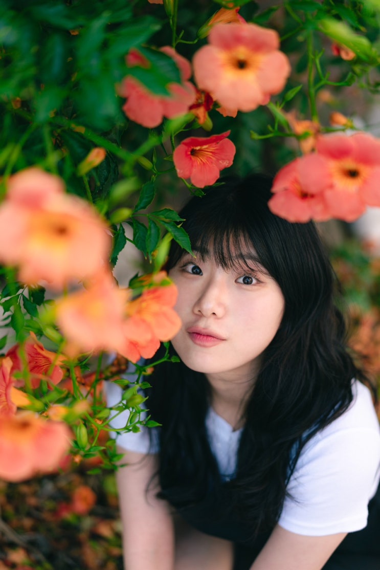  [춘천] 능소화 스냅 촬영 후기