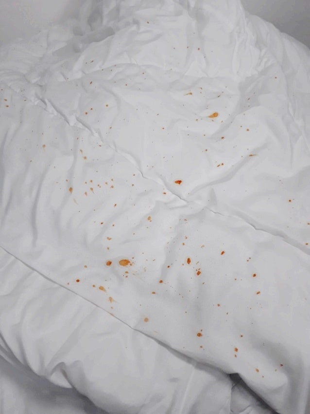 김치국물 지우기 흰옷에 빨간 양념 이불 김치얼룩 제거 과정은?