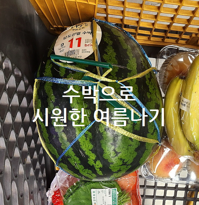  수박으로 시원한 여름나기-수박손질및보관
