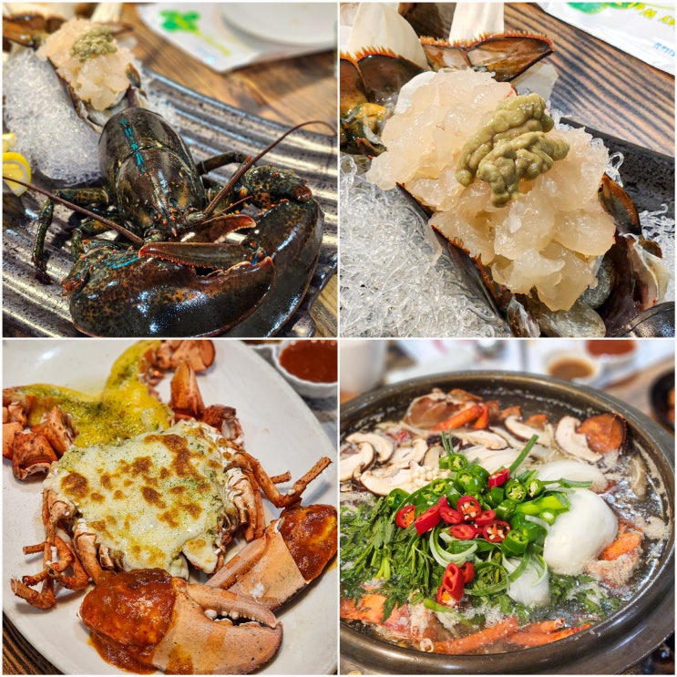  [캐나다노바스코샤 평촌]안양 랍스타 코스요리 맛집 기념일 내돈내산 후기 ~!