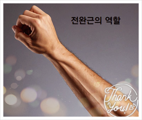  전완근 통증 원인 알아보자