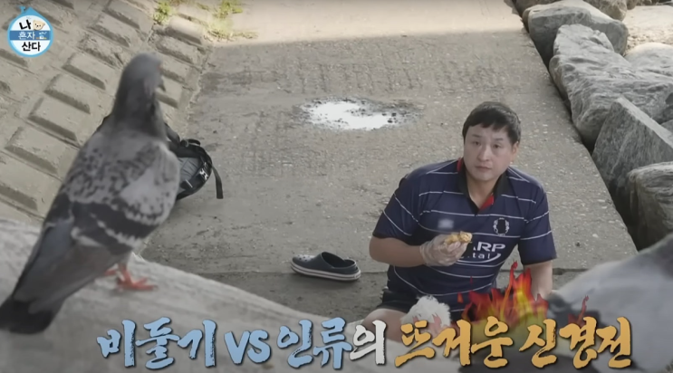  핸섬가이즈ㅣ애플하우스ㅣ스크린야구ㅣ나혼산 구성환 한강