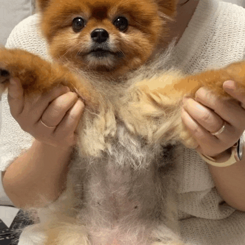  나의 일상! 아자아자 홧팅이닷!