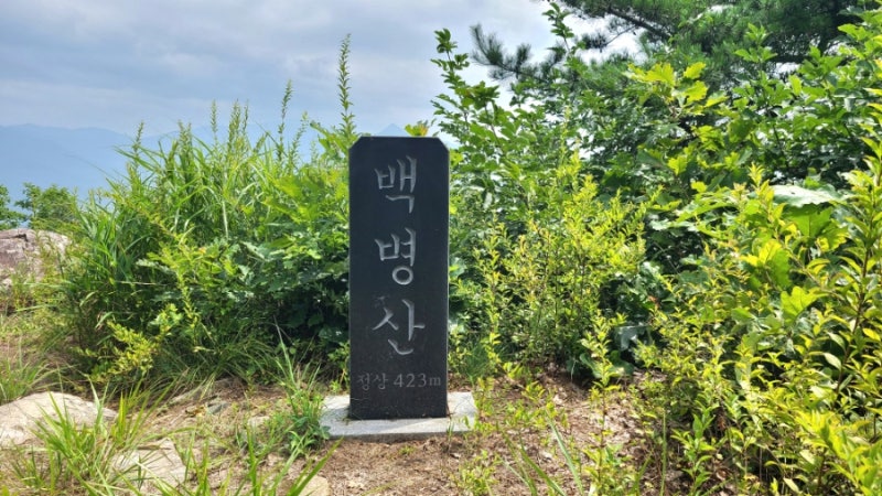 사진 2