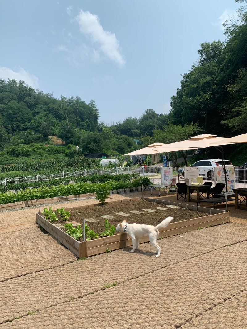 사진 5