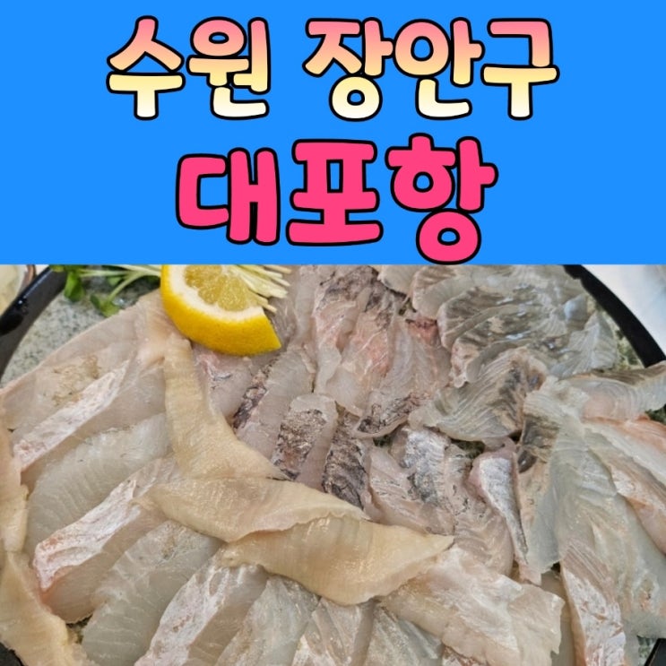  장안구청 맛집 [ 대포항 ] 수원점 / 영등포맛집 이전