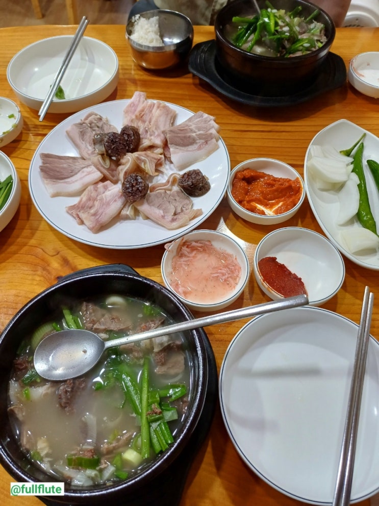  일상포토덤프 챌린지 반짝이는 순간들 찰칵