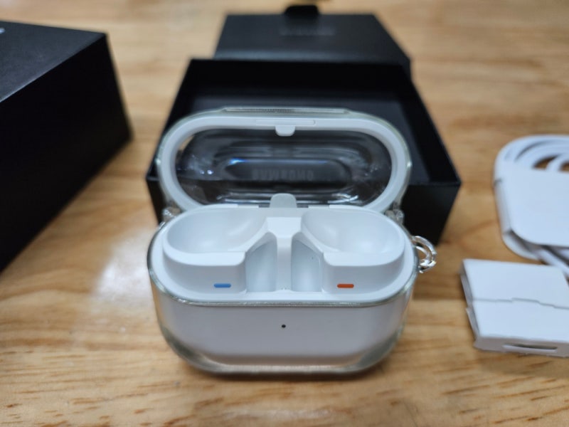 케이스에 넣은 모습