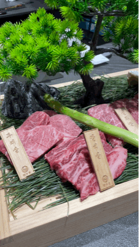 강릉 한우 맛집 강릉한우원 교동 데이트코스 다녀왔어요