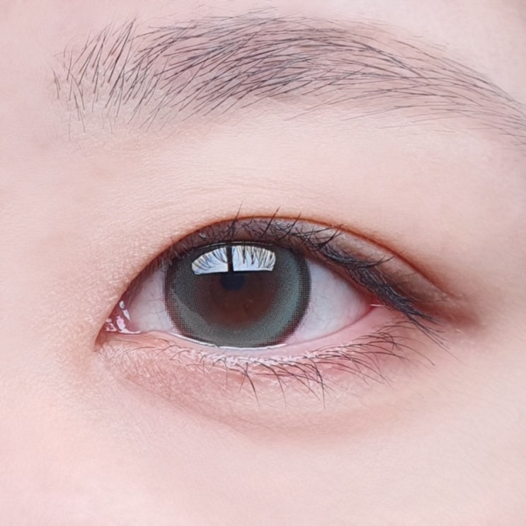  코코뷰 실비아 그린 원데이 렌즈 13.3 초록 렌즈