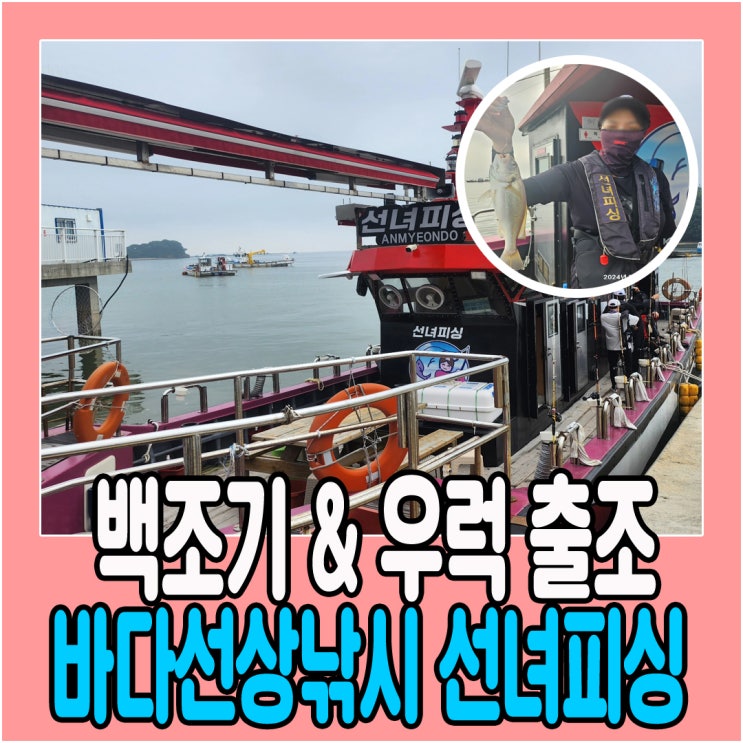  안면도배낚시  안면도체험낚시 시설 좋은 선녀피싱 백조기 출조