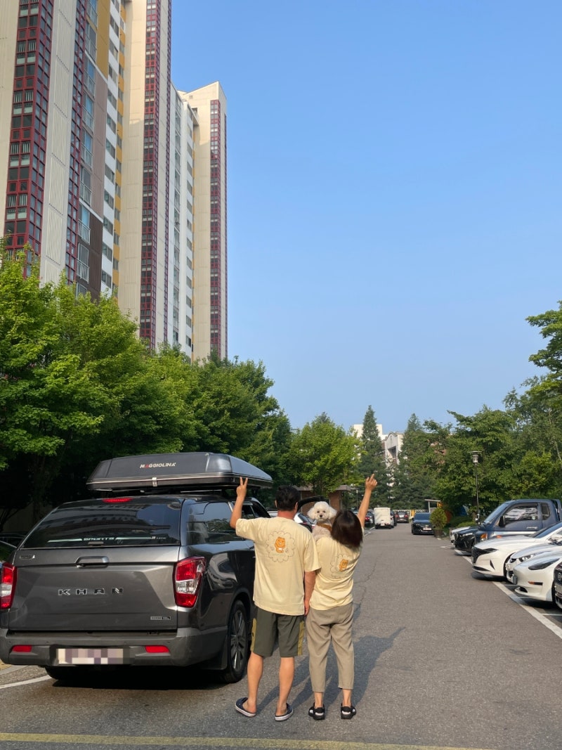 사진 6