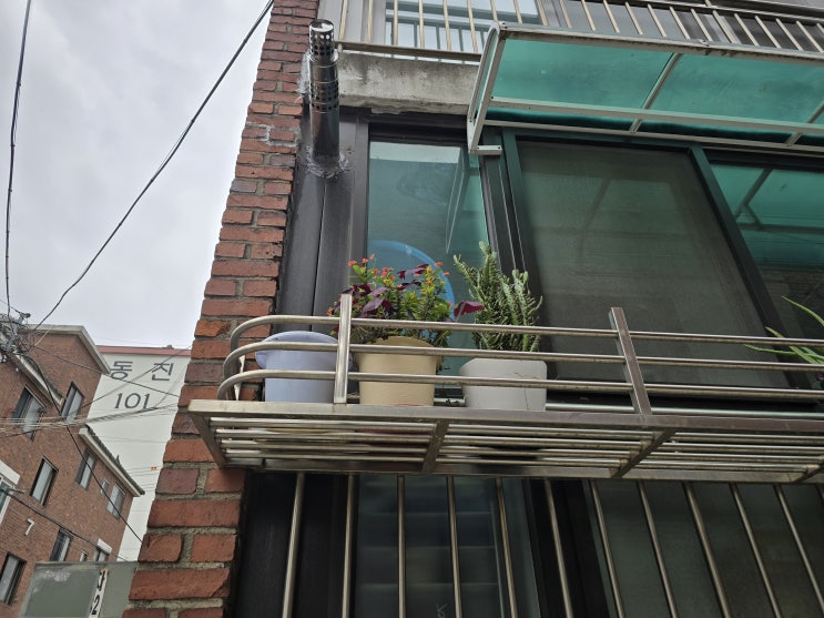  [인프제 일기] 동네 고양이 & 식집사 둘러보기