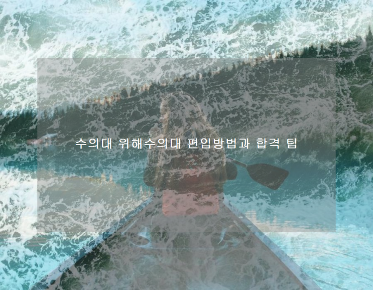 수의대 위해수의대 편입방법과 합격 팁 수의대 위해수의대 편입방법과 합격 팁
