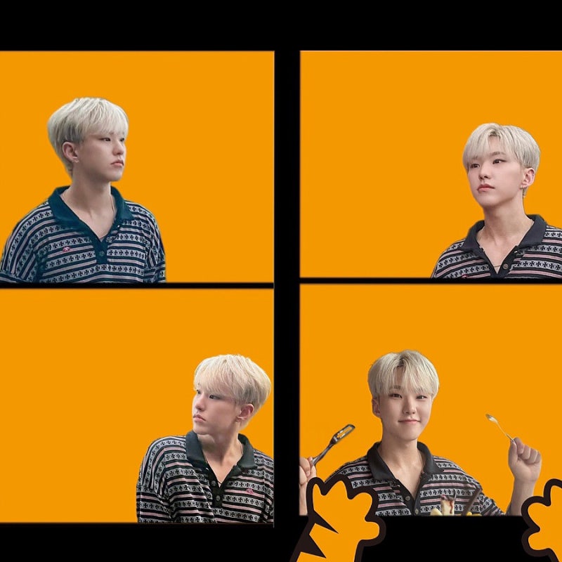 SEVENTEEN 小老虎 Hoshi 相框分享！製作人生四格照片