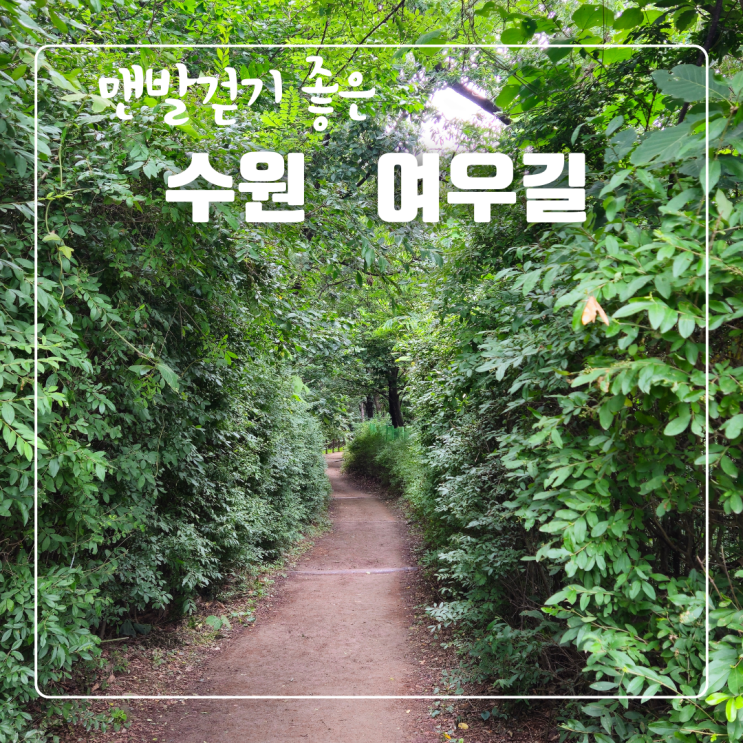  [블챌]수원맨발걷기 좋은 여우길