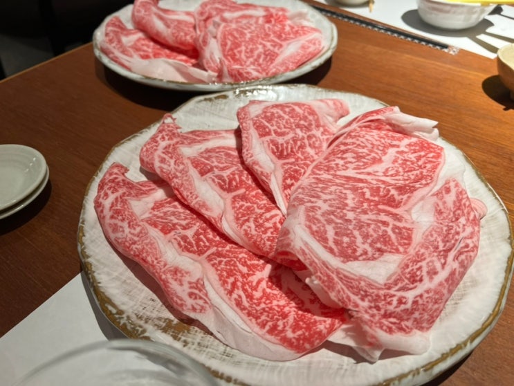  오사카 신사이바시 샤브샤브 규동 규나베 맛집 추천 센바 토라시마