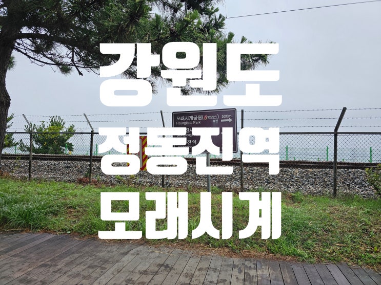  강원도 정동진역 모래시계 여행
